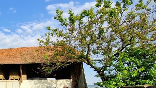 Un edificio rústico con techo inclinado, pared de ladrillo y un patio cubierto de césped.