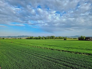 A vast green field with a clear sky and distant hills. - Casa Maddalena (Casatisma)