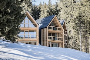 Eine Hütte mit steilem Dach, großen Fenstern und einer Holzfassade.