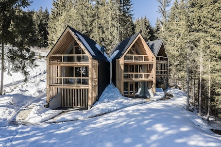 Two wooden cabins with large windows, surrounded by snow and trees.