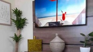 Ein modernes Wohnzimmer mit einem Flachbildfernseher, der an einer dunklen Holzkonsole befestigt ist. Auf beiden Seiten der Konsole stehen Topfpflanzen, an der Wand hängt ein gerahmtes Kunstwerk und auf dem Boden liegt ein gemustertes Teppich.