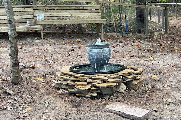 Pet-friendly amenities