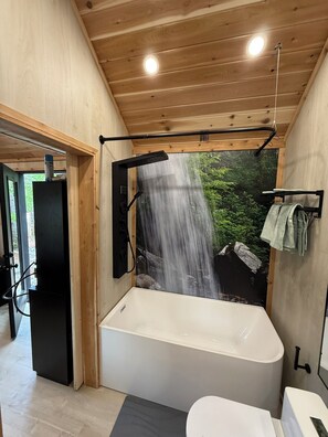 淋浴/浴缸二合一、肥皂、洗髮精、衛生紙