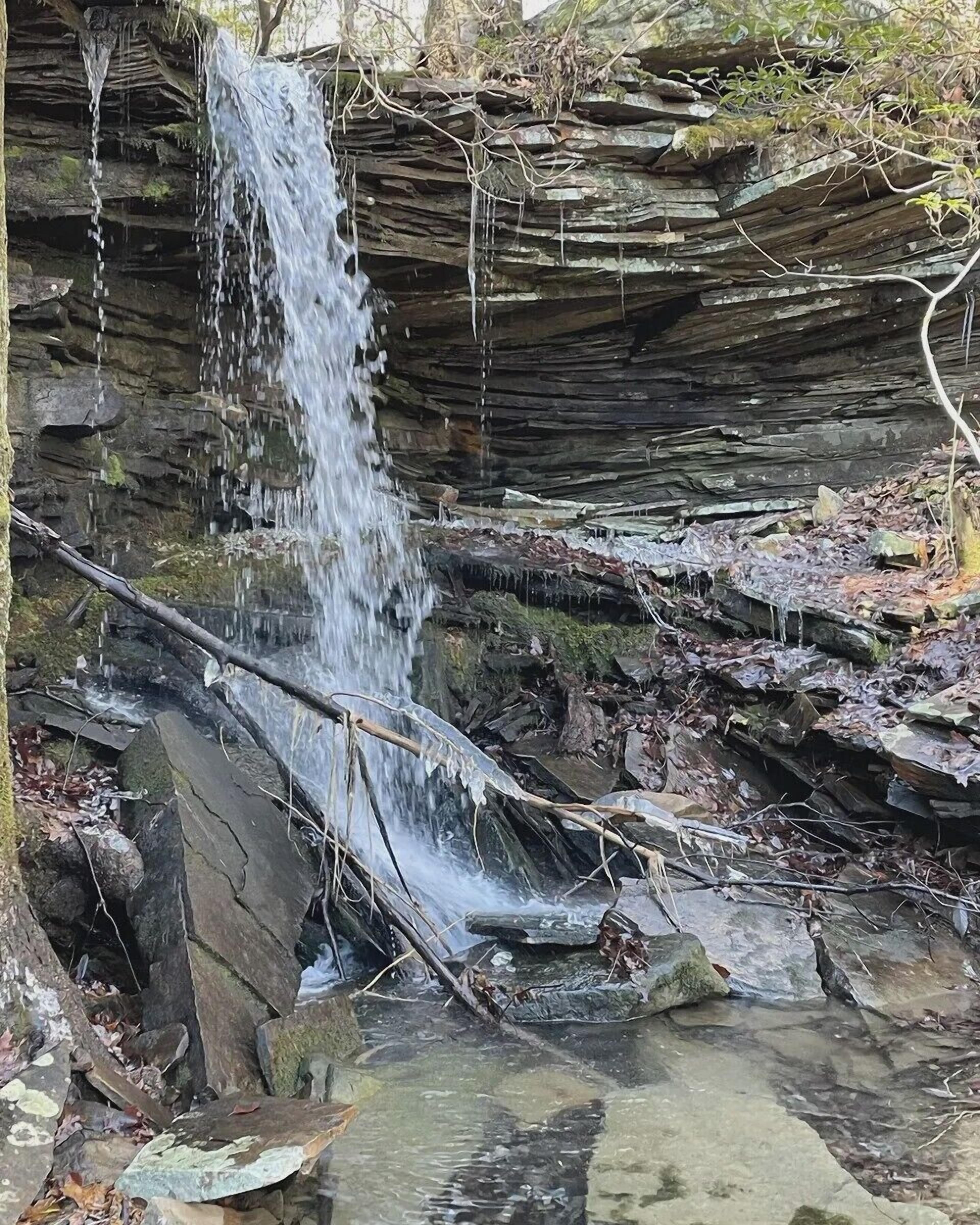 A waterfall cascading over a rocky cliff into a shallow pool surrounded by fallen branches and leaves.