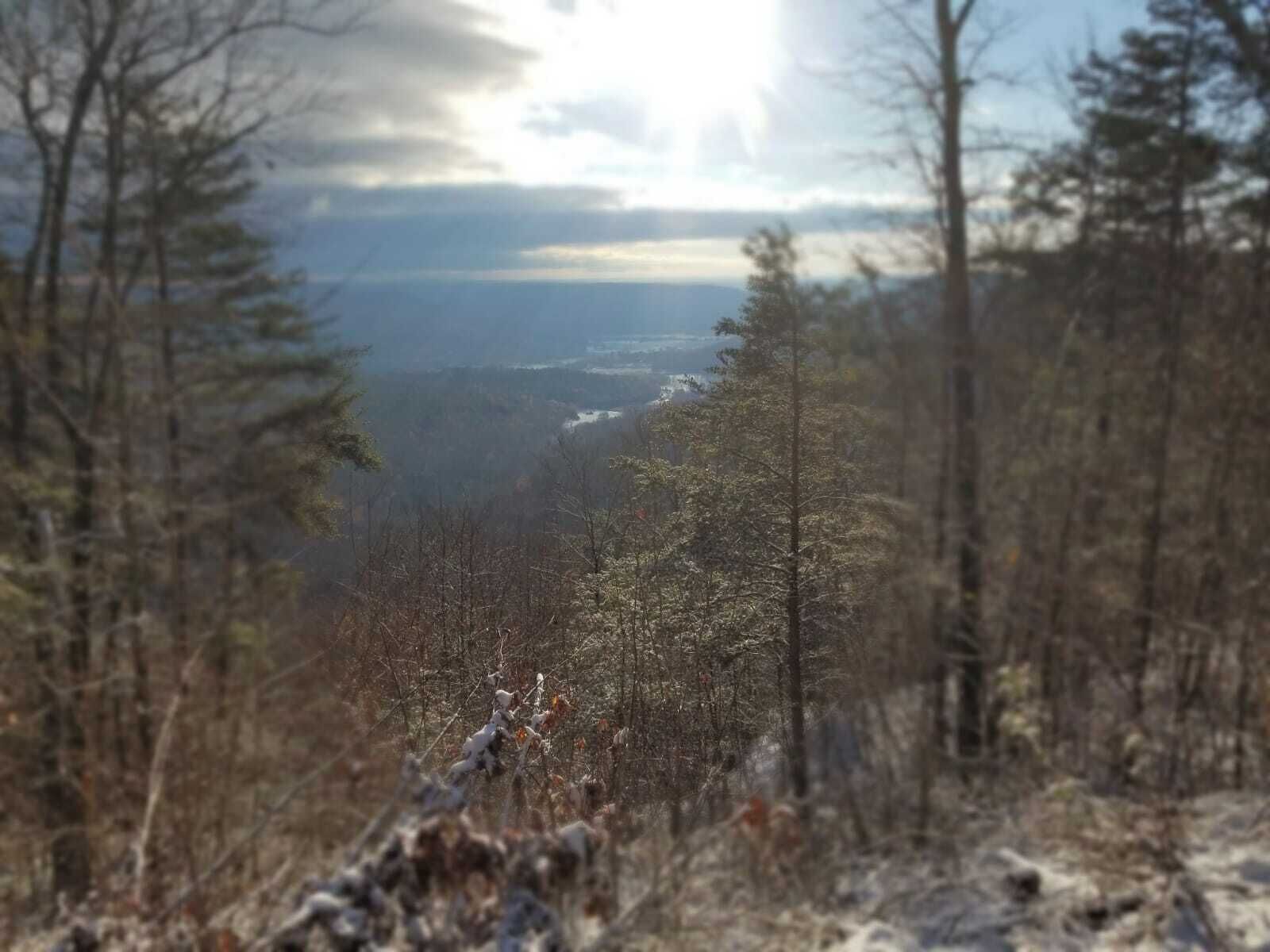 A forested landscape with a view of a valley and a body of water in the distance.