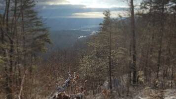 A forested landscape with a view of a valley and a body of water in the distance.