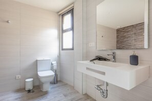 Douche, séchoir à cheveux, serviettes fournies, savon