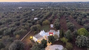 An aerial view of a property with a large open field, a white building with a red roof, and surrounding olive trees.