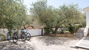 A courtyard with stone flooring, two bicycles, and olive trees. - Apartment 'Sa Curcurica' (Cala Liberotto)