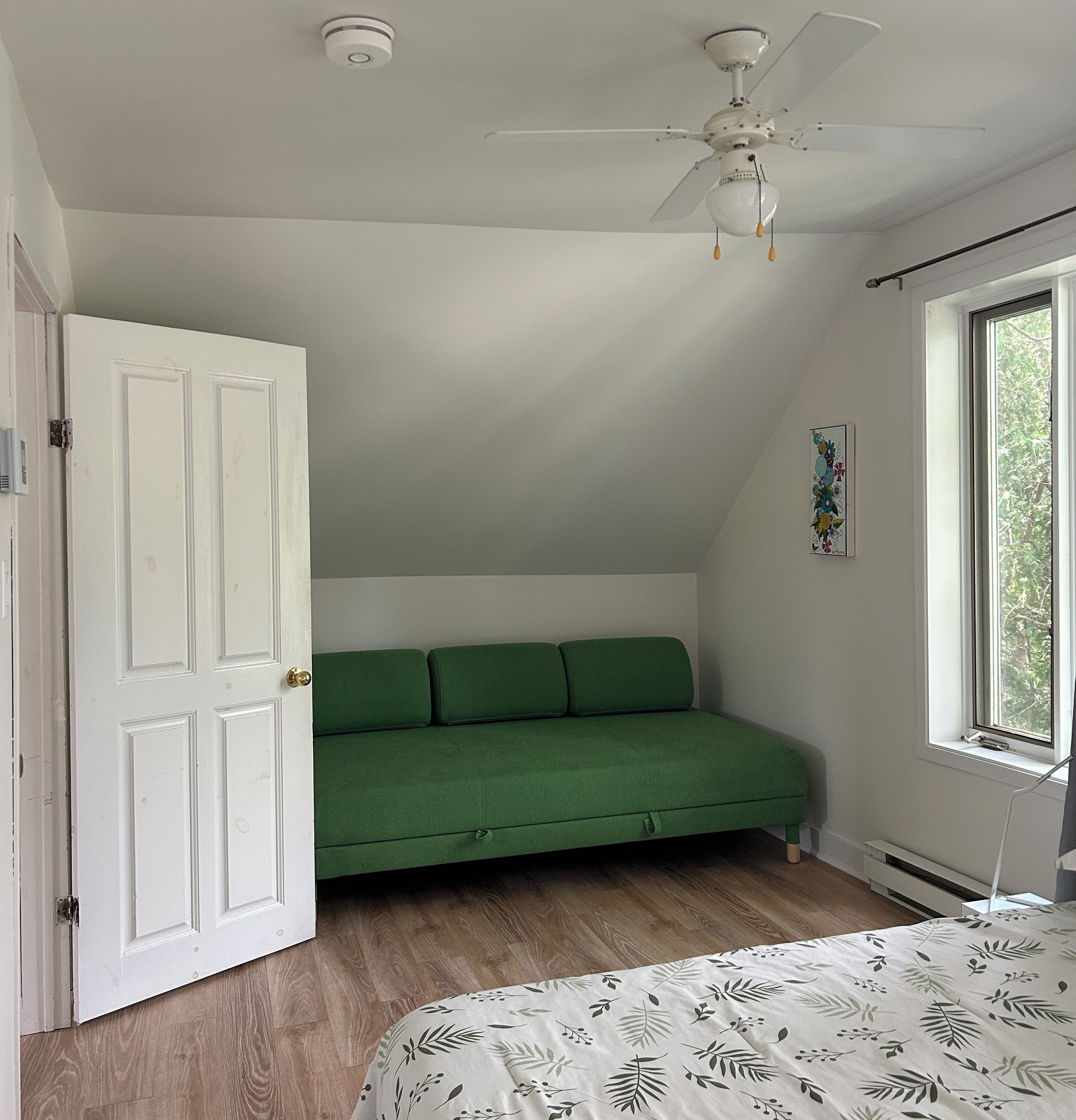 Une pièce avec un canapé vert, un ventilateur de plafond, une fenêtre et une porte.