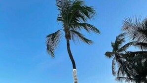 على الشاطئ، رمال بيضاء، حافلة نقل من وإلى الشاطئ مجانًا، بار على الشاطئ
