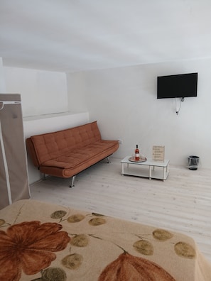 A room with a sofa, a small table with a bottle, a TV mounted on the wall, and a trash bin.
