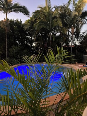 Pool - Private, Peaceful, Cosy Tiny House with a pool, close to everything. (Mango Hill)