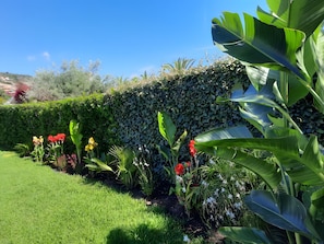 Ein Garten mit Hecke, verschiedenen Pflanzen und Blumen.