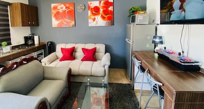 Apartment in tourist area