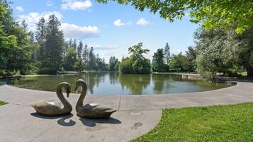 Terrain de l’hébergement