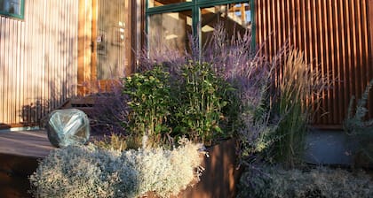 Stars and Serenity, Connection or Off Grid, welcome to Mission Meadows Retreat!
