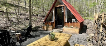 Hillside: Cozy offgrid cabin near Cooperstown, NY