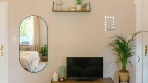 Un salon moderne avec un téléviseur à écran plat posé sur un meuble en bois, un grand miroir au mur et une plante en pot à côté du téléviseur.