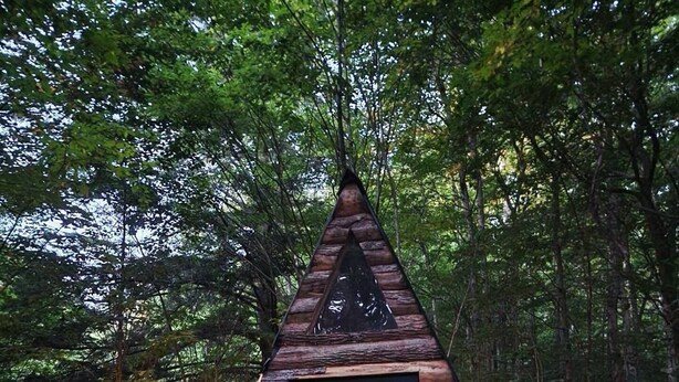Une cabane avec un toit triangulaire, une porte noire et un petit porche agrémenté de plantes décoratives et d’une lanterne.