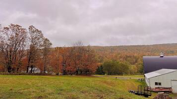 A rural landscape with a barn, trees, and a grassy field.