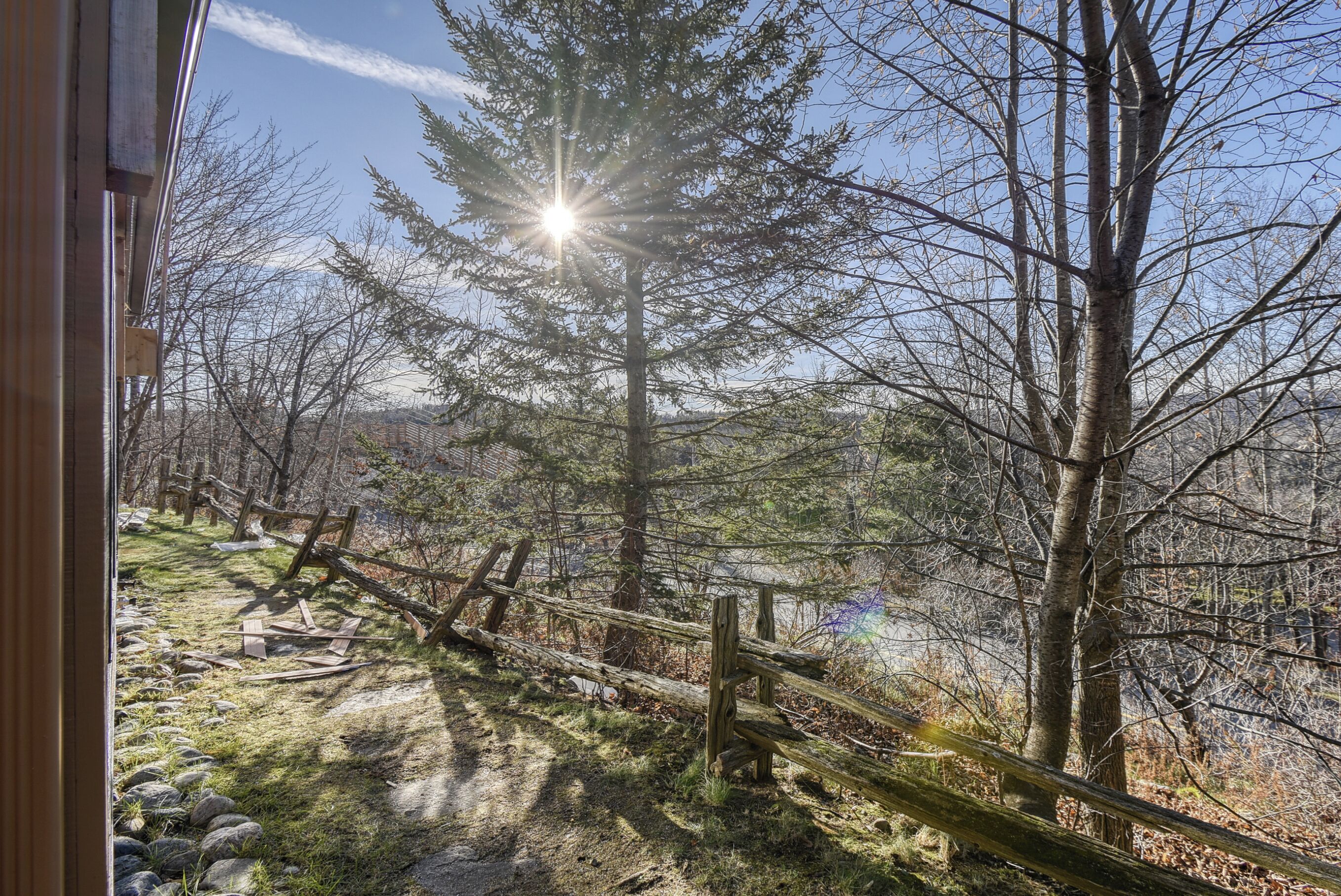 A forested area with a wooden fence, a clear sky, and sunlight filtering through the trees.