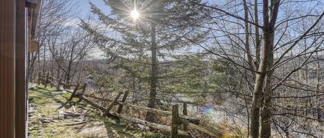 A forested area with a wooden fence, a clear sky, and sunlight filtering through the trees.