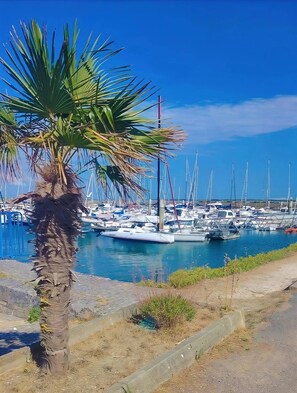 Puerto deportivo
