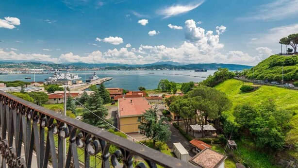Una cittadina costiera con un porto turistico, edifici e vegetazione.