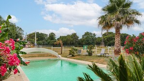 Une piscine avec un pont, des palmiers et des chaises longues.