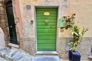 A green door with a plaque, a stone wall, a green door to the left, and a potted plant with pink flowers to the right.