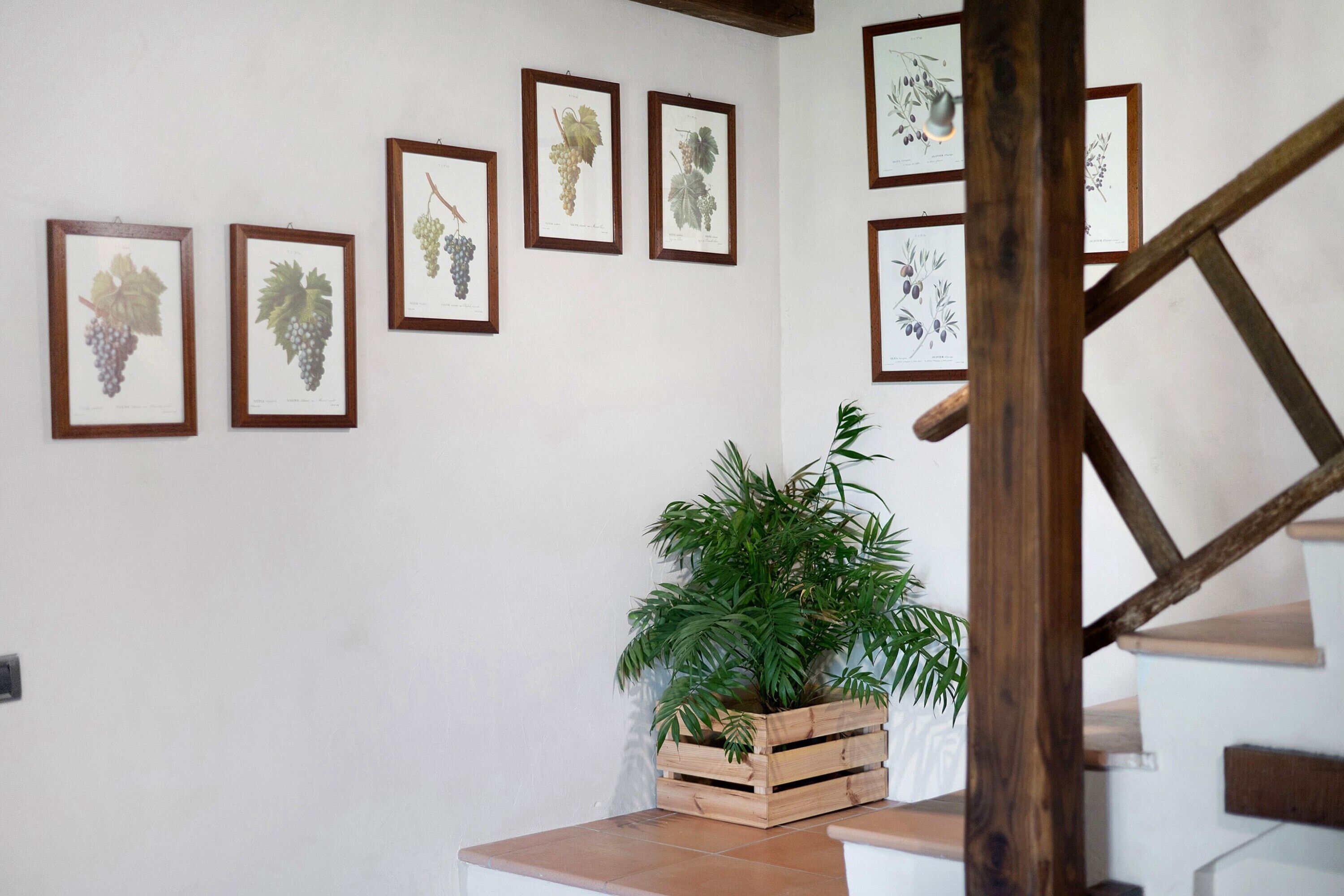 Una escalera con barandilla de madera y una pared decorada con ilustraciones botánicas enmarcadas.