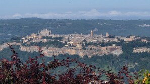 A historic cityscape with prominent architecture, including a cathedral and castle, surrounded by greenery.