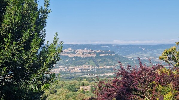 A panoramic view of a town with a prominent castle on a hill, surrounded by greenery and clear skies.
