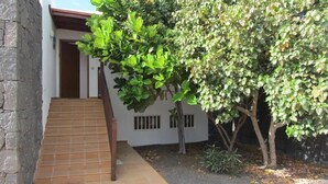 A staircase leading to a building with a stone wall on one side and a tree with dense foliage on the other.