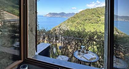 Blue Stone, Marine Lands