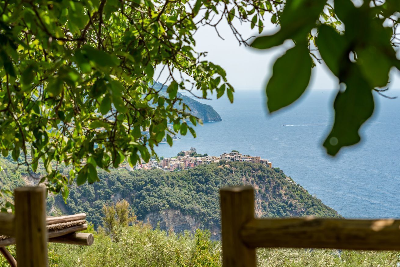 Vista dalla struttura