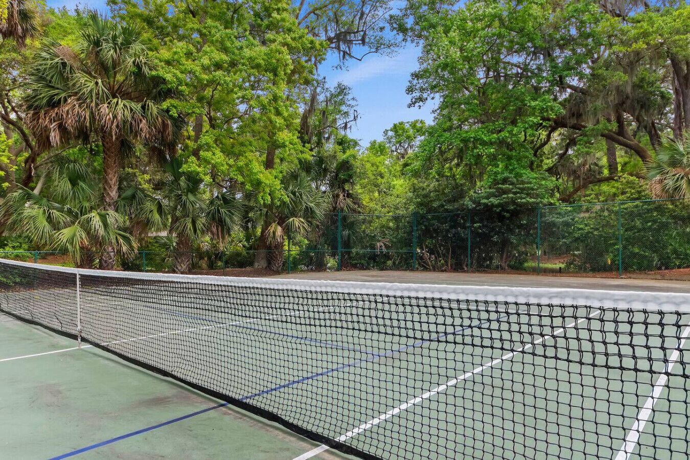 Un court de tennis entouré d’une végétation luxuriante et d’arbres.