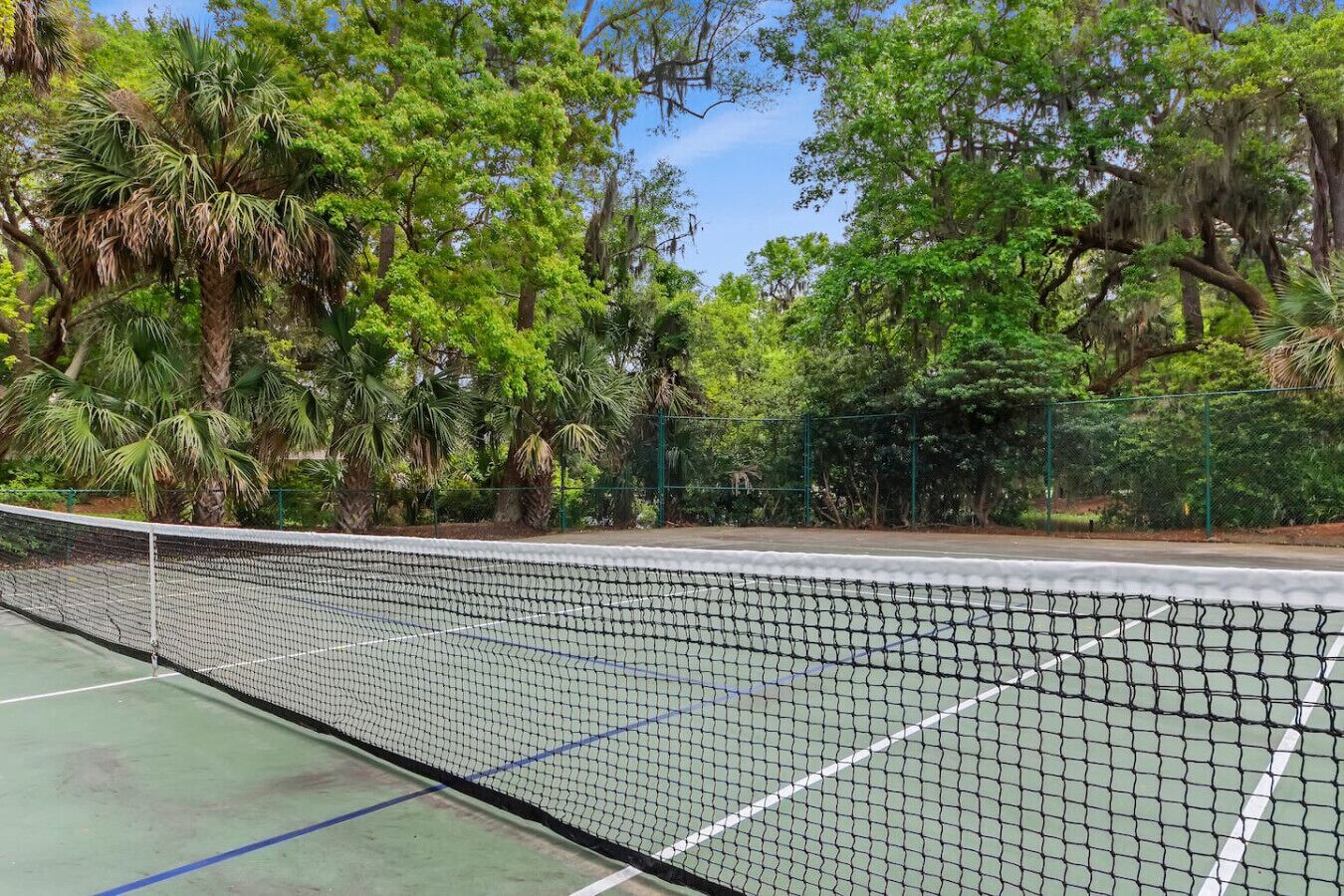 A tennis court surrounded by lush greenery and trees.