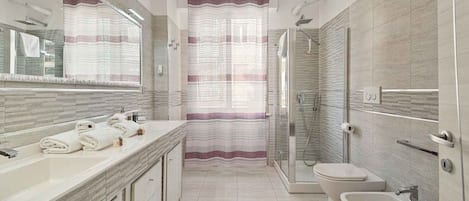 Shower, hair dryer, bidet, towels
