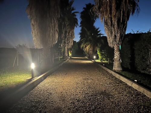 Unique farm in the Alentejo