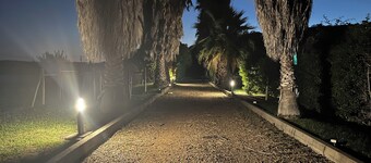 Unique farm in the Alentejo