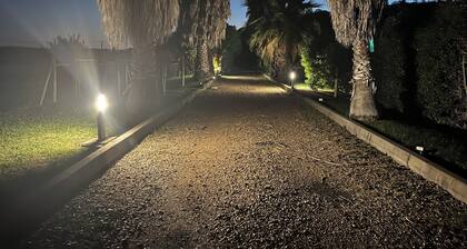 Unique farm in the Alentejo