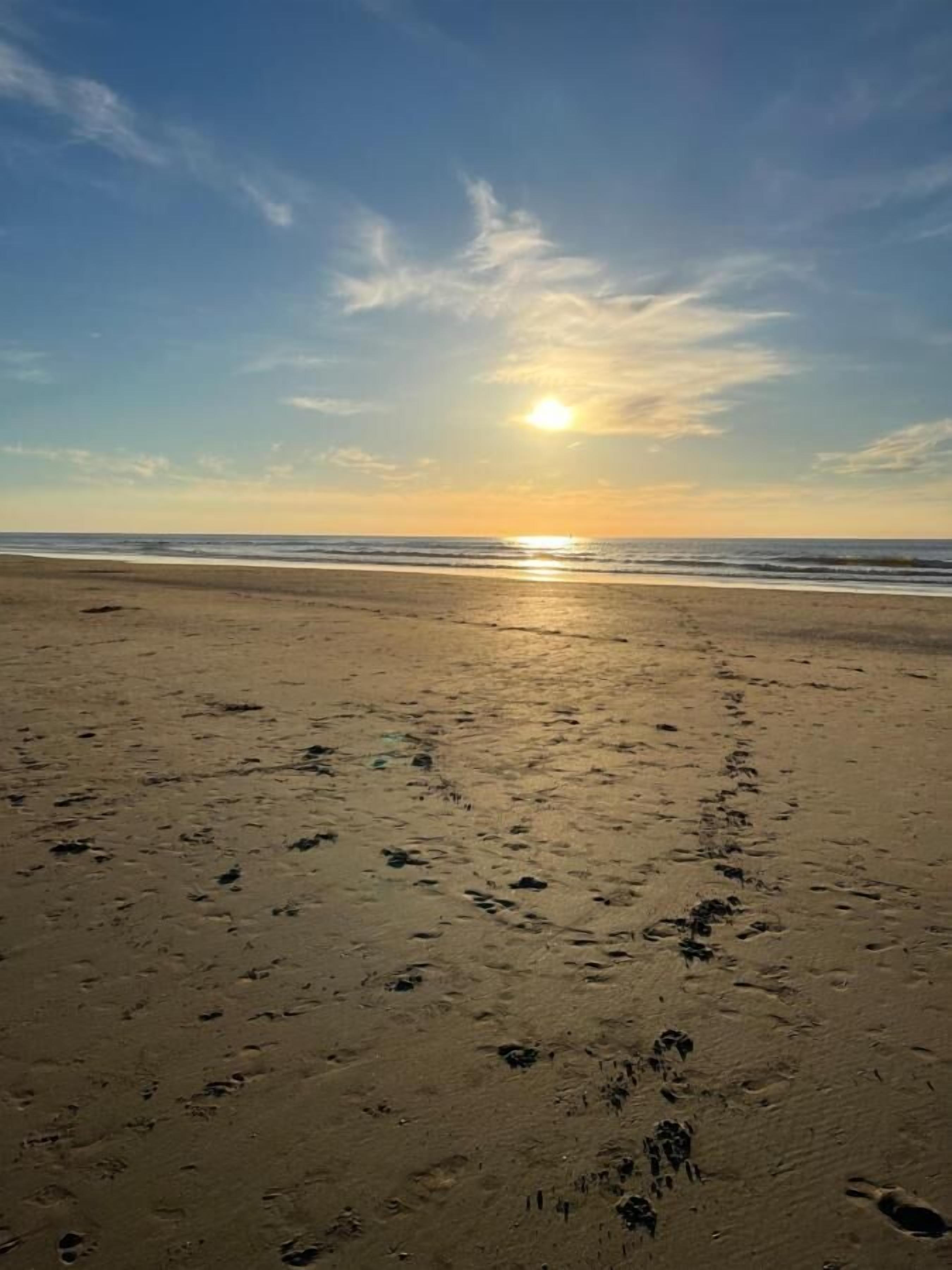 Ein Strand mit Fußspuren, die zum Wasser führen, bewölkter Himmel und eine untergehende oder aufgehende Sonne.