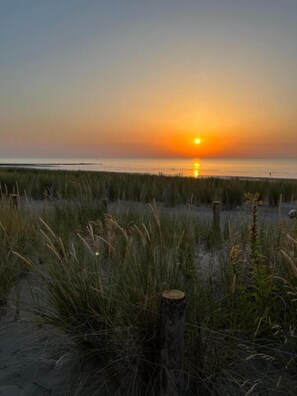 A beach scene with a sunset over the water, featuring tall grasses and a wooden post in the foreground. - Bungalow De Strandjutter (Middelkerke)
