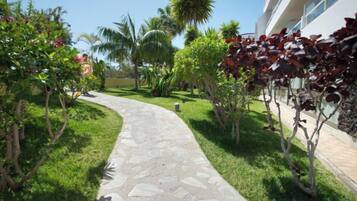 A stone pathway leading through a well-maintained garden with various plants and a building in the background.