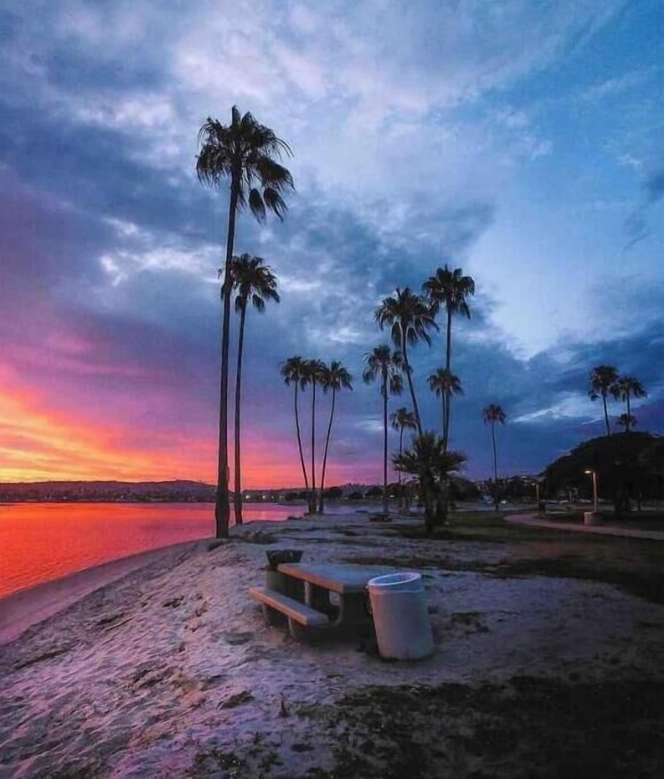 A beach with a wooden bench and a trash can, palm trees, and a sunset over the water.