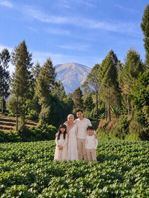 A family standing in a field with a mountain in the background. - Miarzafa cabin house (Kejajar)