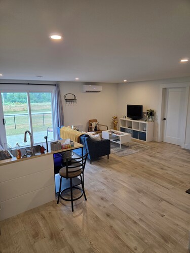 East Royalty Modern lower level apartment.