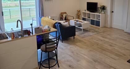 East Royalty Modern lower level apartment.